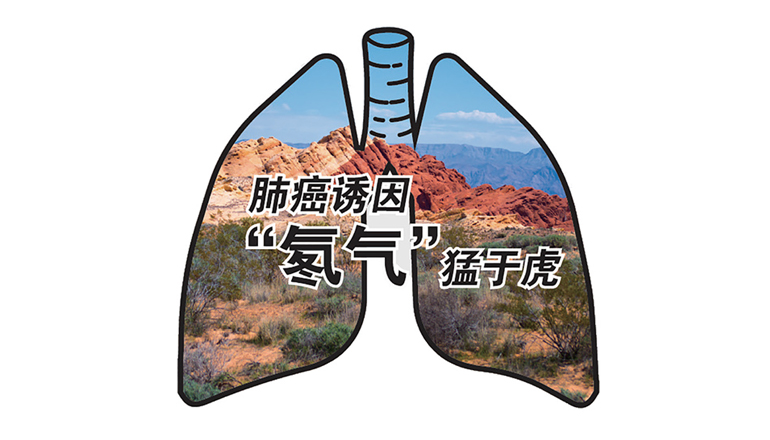 氡对人体的危害